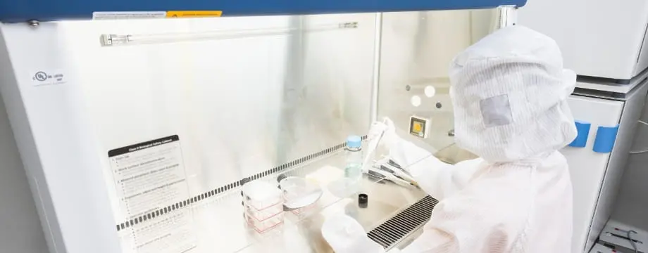 クリーンベンチで作業する研究者