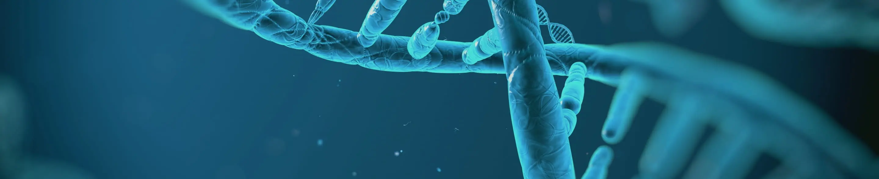 DNAのイメージ画像