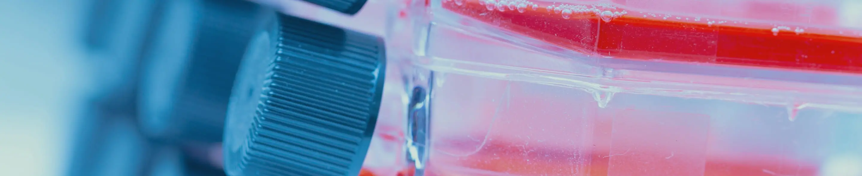 幹細胞療法のイメージ画像