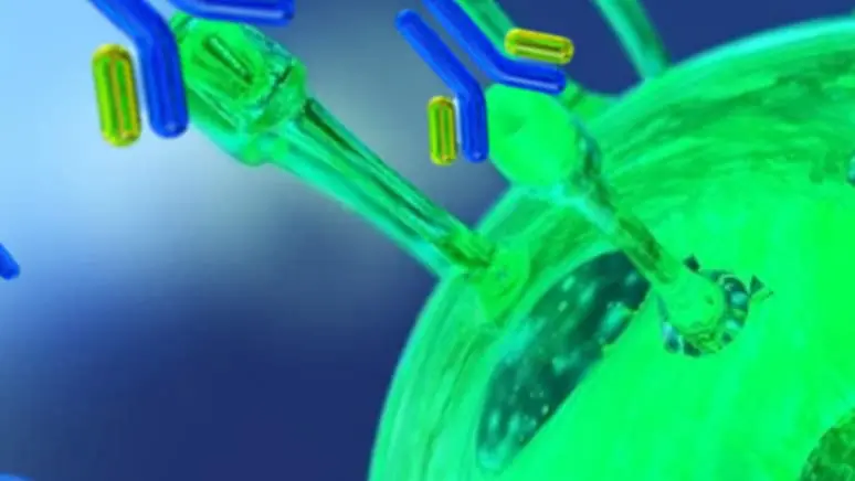 樹状細胞療法のイメージ