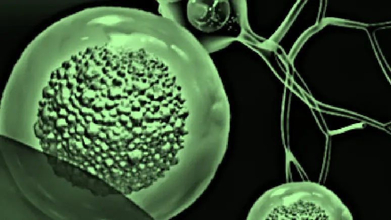 NKM-DC免疫細胞療法のイメージ