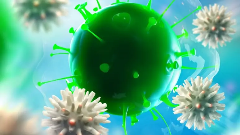 iNKT免疫細胞療法のイメージ