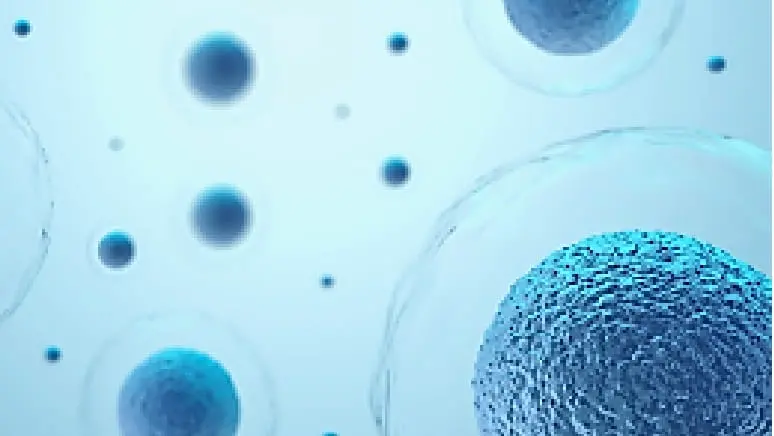 NKM memory免疫細胞療法のイメージ