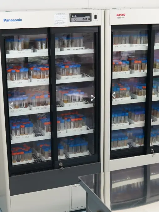 さまざまな薬品が保管されている様子